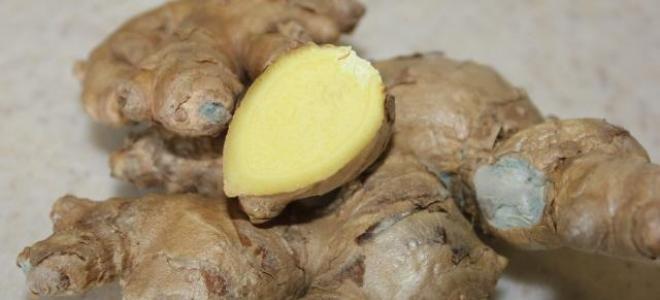 Is ginger good for the body?