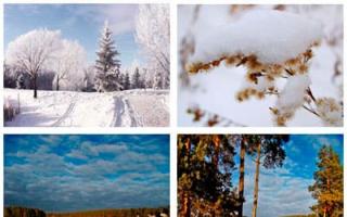 Beschreibung der Winternatur.  Natur im Winter.  Essays zum Thema „Winterbotschaft zum Thema Winter