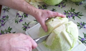 Як солити капусту в бочці